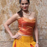 Payal Rohatgi Image