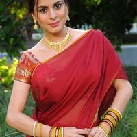 Shraddha Arya Image