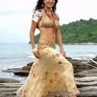 Shraddha Arya Image