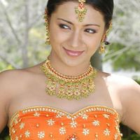 Trisha Krishnan Image