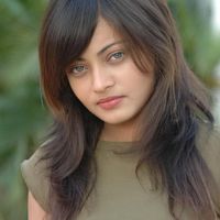 Sneha Ullal Image