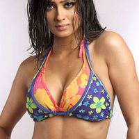 Shweta Tiwari Image