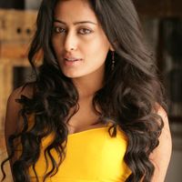 Nidhi Subbaiah Image