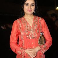 Padmini Kolhapure Image