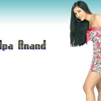 Shilpa Anand Image