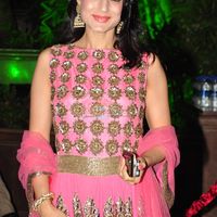 Amisha Patel Image