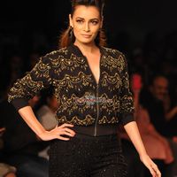 Dia Mirza Image