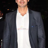 Dino Morea Image