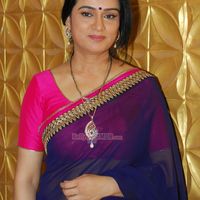 Padmini Kolhapure Image
