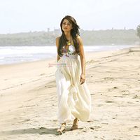 Surveen Chawla Image