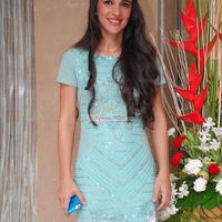 Tara Sharma Image