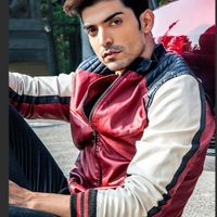 Gurmeet Choudhary Image