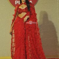 Nora Fatehi Image