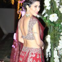 Sophie Choudry Image