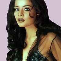 Celina Jaitley Image