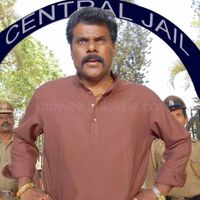 Ashish Vidyarthi Image