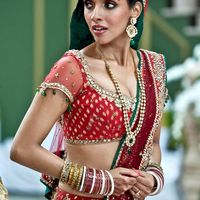 Asin Thottumkal Image