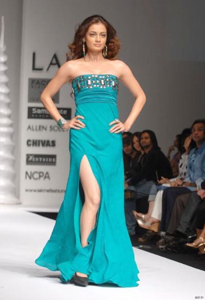 Dia Mirza Photo