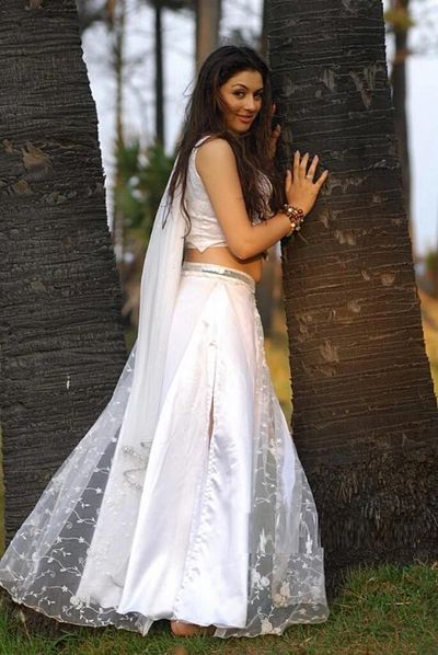 Hansika Motwani Photo