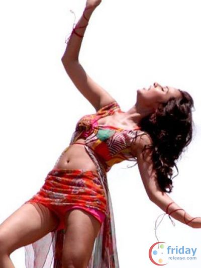 Nisha Kothari Photo