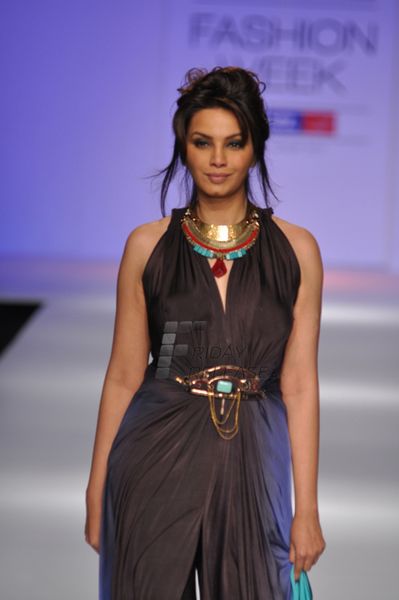Diana Hayden Photo