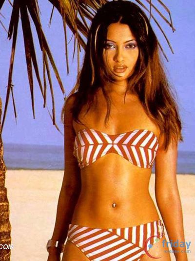 Riya Sen Photo