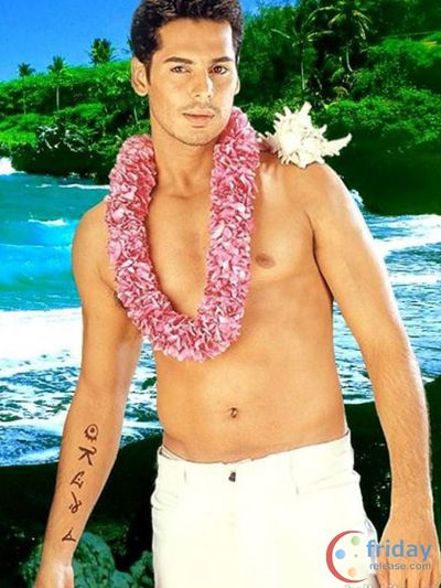 Dino Morea Photo