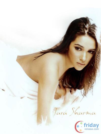 Tara Sharma Photo