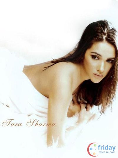 Tara Sharma Photo