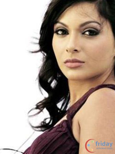 Mrinalini Sharma Photo