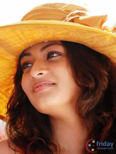 Sneha Ullal Photo
