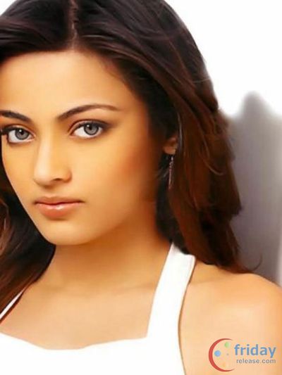 Sneha Ullal Photo