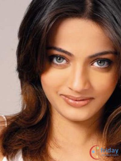 Sneha Ullal Photo