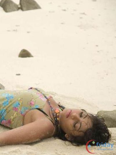 Sneha Ullal Photo