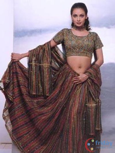 Dia Mirza Photo