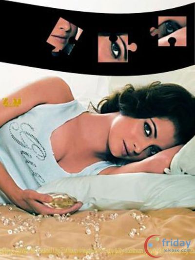 Dia Mirza Photo