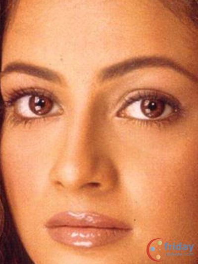 Dia Mirza Photo