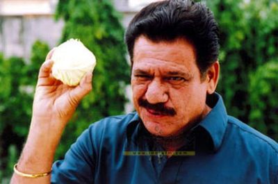 Om Puri Photo