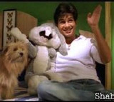 Shahid Kapoor Photo