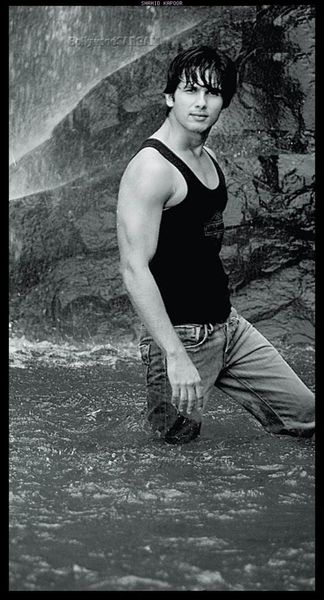Shahid Kapoor Photo