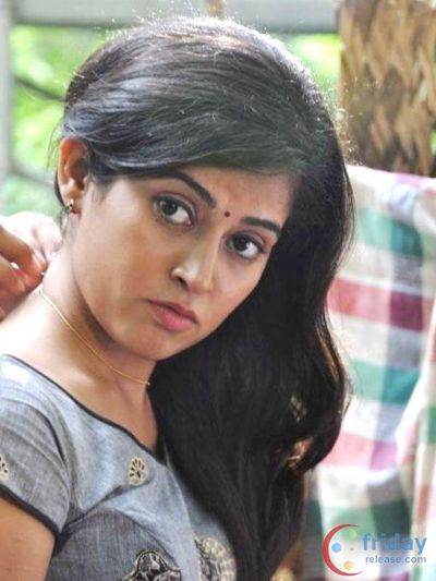 Disha Pandey Photo