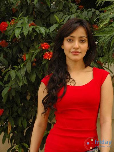 Neha Sharma Photo