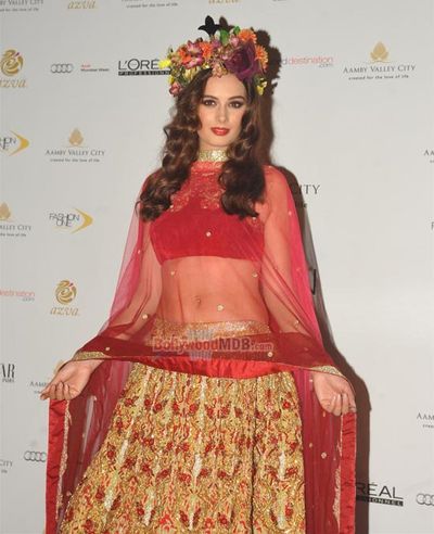 Evelyn Sharma Photo