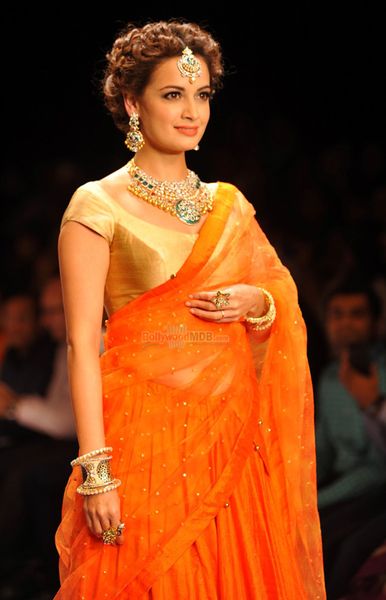 Dia Mirza Photo