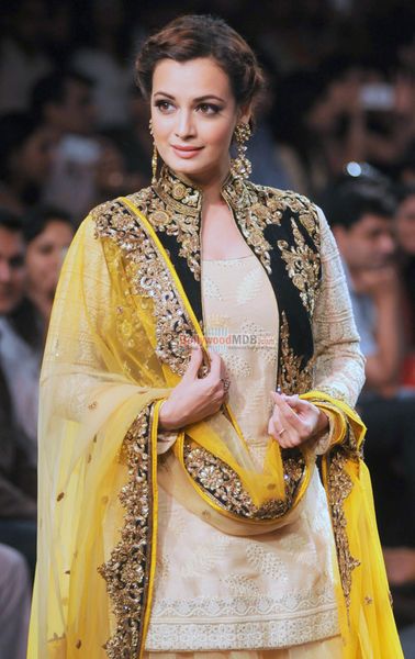 Dia Mirza Photo