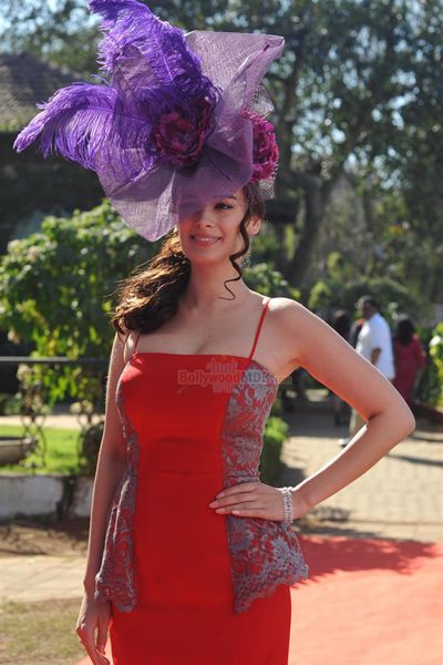 Evelyn Sharma Photo