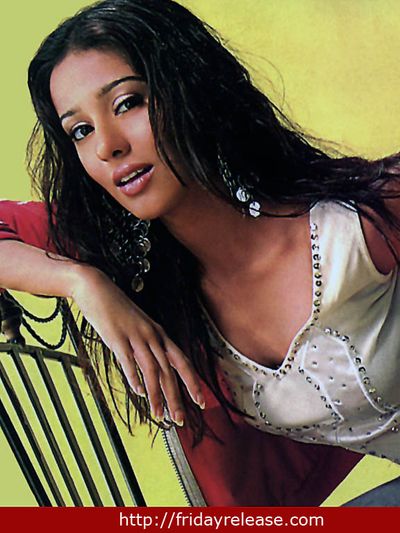 Amrita Rao Photo