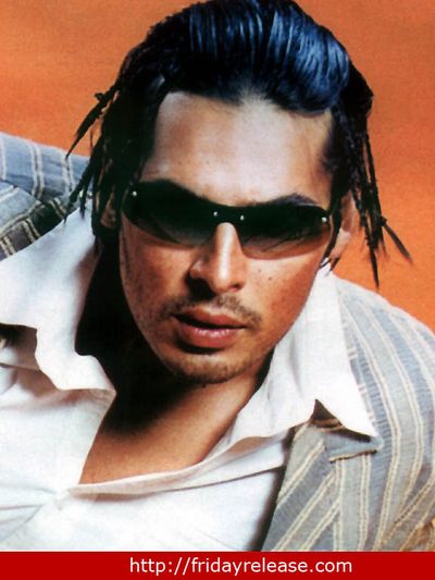 Dino Morea Photo