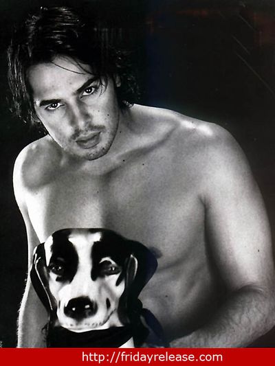 Dino Morea Photo