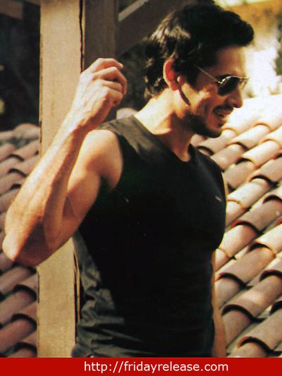 Dino Morea Photo